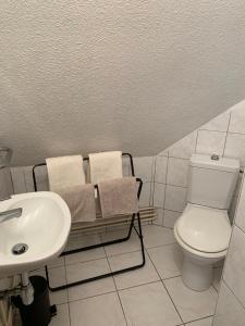 希伯维列Studio à Ribeauvillé的白色的浴室设有卫生间和水槽。