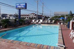 布兰特海滩海马汽车旅馆的一个带椅子的大型游泳池,酒店标志