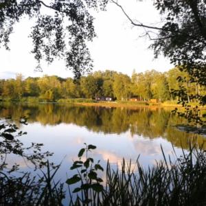 DiepenbeekMy Secret Garden的享有背景树木的湖泊美景