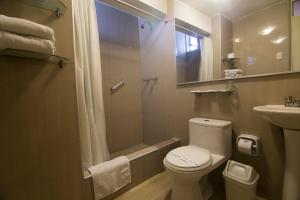 塔克纳普利米尔酒店的浴室配有卫生间、盥洗盆和淋浴。