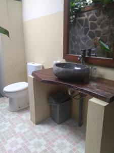 佩母德兰彭多克拉哈余旅馆的一间带水槽和卫生间的浴室