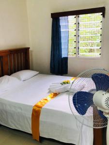 努库阿洛法Paea's Guest House的一间卧室配有一张带风扇和窗户的床。