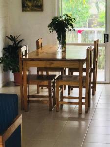 努库阿洛法Paea's Guest House的木餐桌和椅子,上面有植物