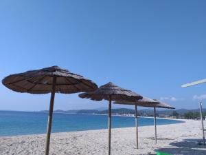 库佛斯港Porto Κoufo Halkidiki的沙滩上的一把遮阳伞