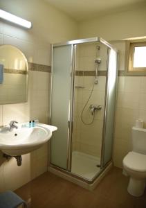 拉纳卡艾利索酒店的带淋浴、盥洗盆和卫生间的浴室