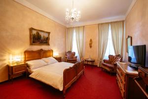 奥尔利采河畔乌斯季Hotel Na Zámečku的一间卧室配有一张床和一台平面电视