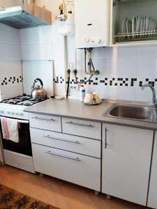 ShostkaApartment Horkoho 7A的白色的厨房设有水槽和炉灶。