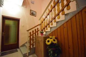 斯塔利格拉德-帕克利尼卡Apartments Mira的走廊上设有一条带向日葵的楼梯