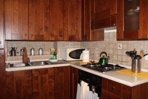 斯培西亚D.E.M.的厨房配有木制橱柜、水槽和炉灶。