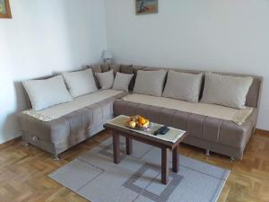 弗尔尼亚奇卡矿泉镇Apartment Laća的带沙发和咖啡桌的客厅
