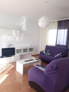 阿尔戈多纳莱斯ATICO-PLAZA的客厅配有两张紫色沙发和一台电视机