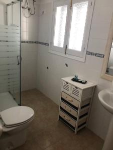拉萨维纳Casa S Estany的浴室配有卫生间、盥洗盆和淋浴。