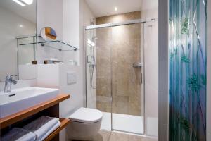 维也纳阿尔特多瑙河海滩酒店的带淋浴、卫生间和盥洗盆的浴室
