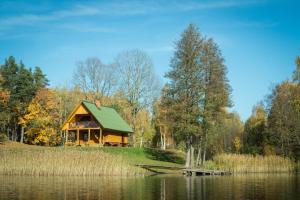 阿格洛纳"Čiekuri"的湖畔小山上的小木屋