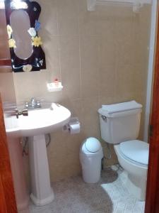 帕拉伊索DON CELES的浴室配有白色卫生间和盥洗盆。