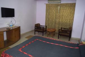 吉大港Asian SR Hotel的一间客厅,配有地毯、电视和椅子