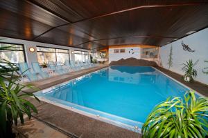塔弗伊马达特斯齐酒店的一座带椅子的大型游泳池