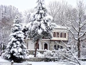 格雷韦纳Zenios Dionysos - Traditional villa的前面有一棵雪覆盖的树的房子