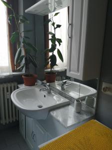阿斯蒂la casa di fiore的浴室设有水槽、镜子和盆栽植物