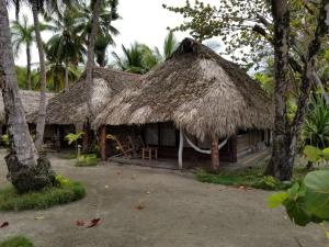 La YaguaPlaya Paraiso en Magante的茅草屋顶和棕榈树的小小屋