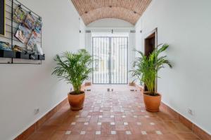 拉戈斯Casa Creativa Lagos的楼里有三株盆栽的走廊