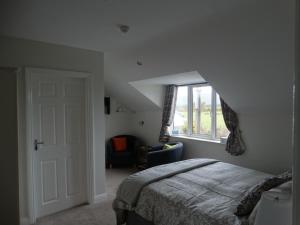 丁格尔Dunlavin House - Aidan OBrien的一间卧室设有一张床和一个窗口