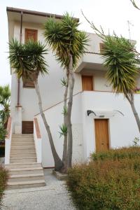 夏卡Villa Paola Holidays的一座棕榈树掩映的白色房子