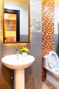 北榄Lilliput Riverside Bangkachao的一间带水槽、卫生间和镜子的浴室