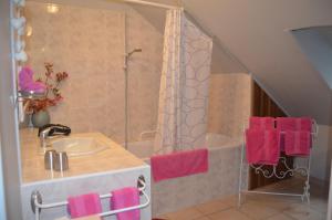 肖蒙索卢尔LA MAISON DU PECHEUR的浴室配有水槽、淋浴和粉红色毛巾