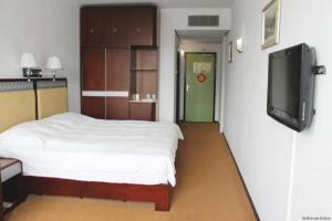 鹿特丹新海洋乐园酒店的一间卧室配有一张床和一台平面电视
