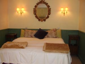 OldcastleGlenboy Country Accommodation的一间卧室配有一张带两个枕头和镜子的床