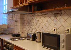 约阿尼纳Lake view apartment的厨房配有微波炉和带炉灶的台面。