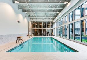 萨格奈OTL Gouverneur Saguenay的一座室内游泳池,位于一座带窗户的建筑中