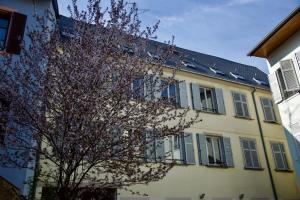 斯特拉斯堡Appartement 3 pièces, Krutenau, Parking privé的前面有树的黄色建筑