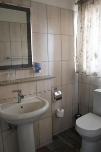 奥马鲁鲁Omaruru Guesthouse的一间带水槽、卫生间和镜子的浴室