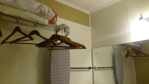 温泉城罗斯洛伊汽车旅馆的浴室配有带衣架和淋浴的衣柜。