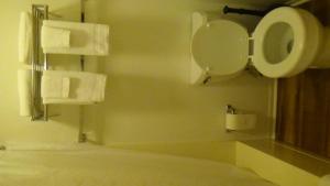 温泉城罗斯洛伊汽车旅馆的一间带卫生间和卫生纸分配器的浴室