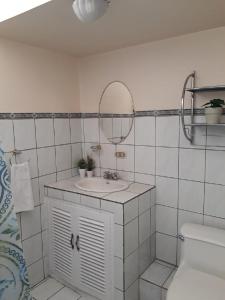 阿拉胡埃拉Kubo Apartment的白色的浴室设有水槽和镜子