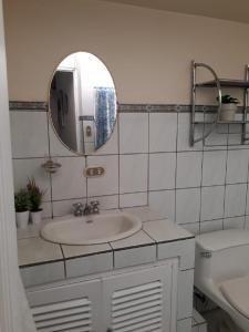 阿拉胡埃拉Kubo Apartment的一间带水槽和镜子的浴室
