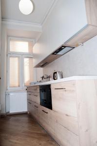 卢布林Rodmos Hostel的厨房配有木制橱柜和炉灶。