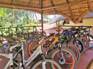 姆托瓦姆布Africa Safari Camping Mto wa Mbu的彼此相邻的自行车