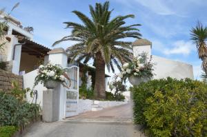 文托泰内Hotel Agave e Ginestra的棕榈树上种满鲜花的白色围栏