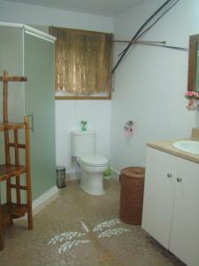 维拉港贝尔维尤生态山林小屋的一间带卫生间和水槽的浴室