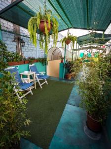 利马Mama Backpackers的一座温室,里面摆放着椅子和盆栽植物