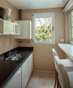 卡里罗Suite House Carilo的一个带水槽和窗户的小厨房