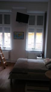 柏林费里恩沃农公寓的一间卧室设有一张床和三个窗户。
