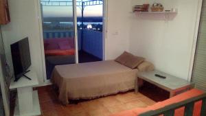 阿亚蒙特El Mirador de la Desembocadura的客房设有1张床、1台电视和1张桌子。