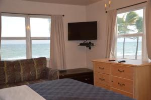 好莱坞La Terrace Oceanfront的酒店客房设有一张床、一台电视和窗户。