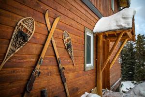 卡纳纳斯基斯村恩加丁山山林小屋的小屋边的滑雪板