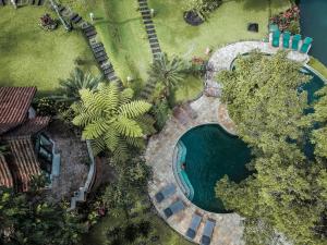 外南梦Ijen Resort and Villas - The Hidden Paradise的享有庭院游泳池的顶部景色